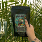 Bones Coffee Company NEW World Tour Sample Pack, Single-Origin Flavored Coffee Medium Roast Arabica Beans Specialty Coffee Gifts Compatible Auto Drip and French Press, 4 oz Pack of 5 Whole Bean