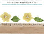 Global Sugar Art Blossoms and Leaves Edible Sugar Cake & Cupcake Flowers, Yellow, Small Unwired, 24 Count with Leaves by Chef Alan Tetreault