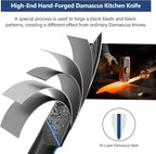 3.75 Inch Paring Knife, Fruit Knives with G10 Handle, 67-Layer Japanese Damascus Steel Forged Small Kitchen Knife, Ultra Sharp Knves with Exquisite Package