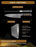 Kitchen Chef Knife 8 Inch, Professional Kitchen Knife, Ultra Sharp Damascus Powder Steel with Full-tang Resin Handle, Bi Series