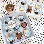 Bento Cake and Cupcake Box 4-inch Cake and 5 Cupcakes Box 10 Sets for Family Dinner Birthday Party Picnic Gift