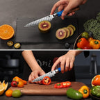Kitchen Utility Knife 5 Inch, Japanese VG10 Steel Damascus Paring knife, Small Kitchen chef Knife with Gift Box and Resin Wood Handle, Ideal Birthday Gift for Men and Women