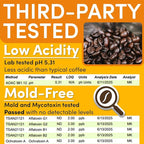 Sarasota Coffee Ground Packets | Gourmet Medium Roast Bulk Coffee Packs | Breakfast Blend | Low Acid Mold Free Singles Individual Pouches for 12 Cup | 1.75 Ounce Bags, 100 Count