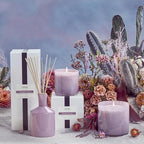 LAFCO New York Classic Candle, Midnight Cactus - 6.5 oz - 50-Hour Burn Time - Reusable, Hand Blown Glass Vessel - Made in The USA