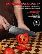 8 inch Chef Knife, Japanese VG-10 Damascus Steel Kitchen Knife, Ultra Sharp Cooking Knife with Full-tang Handle in Red Resin, LA-S9 Series