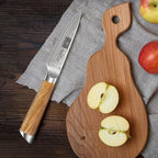HOSHANHO Damascus Paring Knife 3.75 Inch, Professional 67 Layers Damascus Super Steel Small Fruit Knife, Super Sharp Hand Forged Japanese Paring Knife