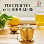 Tea Infuser (Set of 2) with Tea Scoop and Drip Dray - Ultra Fine Tea Strainer for Loose Leaf Tea - Stainless Steel Tea Steeper for a Superior Brewing Experience