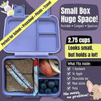 BEARFOOT Kids Lunch Box with Compartments – Compact & Lightweight | Leak-Proof, BPA-Free, Dishwasher & Microwave Safe | Hand-Drawn Design for Preschool, School, Travel (Llama Purple, 2.75 Cups)