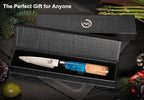 Paring Knife 3.5 Inch Damascus Paring Knife Small Fruit Knife Ultra Sharp Damascus VG10 Core Steel with 66 Layers High Carbon Steel Classical Pattern Blue Handle Unique Gifts with Gift Box