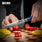 CRICO Paring Knife 5 inch, Kitchen Utility Knife, Fruit Paring Knives, VG10 Damascus Super Steel Forged 67-Layers, Full Tang Wood&Resin Handle, Gift Box - Flow Series