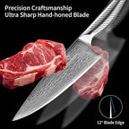 NANFANG BROTHERS® 10 Pieces Damascus Kitchen Knife Set, High Carbon Stainless Steel Damascus Steel Chef Knife Set, Stainless Steel Ergonomic Handle for Chef, with Built-in Sharpening Rod NF