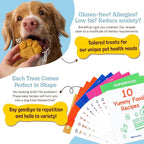 BoneItUp Dog Treat Making Kit – All-in-One DIY Cookie Set with Reusable 3 Silicone Dog Treat Molds, 3 Cutters, 10 Recipes & Gift Bags – Make Healthy Homemade Treats for Dogs, XL Kit for Big Dogs