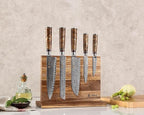 Wakoli Damascus Chef Knife Set with Magnetic Block – 5-Piece Professional Kitchen Knife Collection | Genuine 67-Layer Damascus Steel Blades with VG10 Core | Ergonomic Sycamore Wood Handles