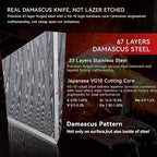 8" Chef's Knife, Japanese Damascus Chefs Knife 67 Layers High Carbon VG10 Steel Core with Resin & Burl Ergonomic Handle, Gift Box