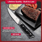 Steak Knife,4.5inch Steak Knives Set of 2,High-Carbon Stainless Steel Knife Set,Serrated Blade Sharp Knives,Dishwasher Safe,Ergonomic Black Handel,Full Tang Design With Excellent Gift