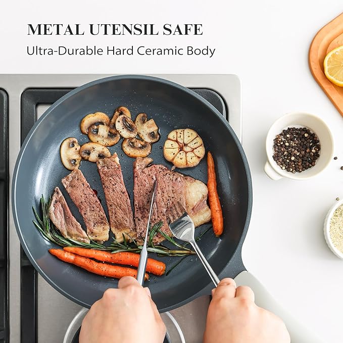 PRICUSIS Nonstick Ceramic Frying Pan with Lid, Non Toxic Skillet, Healthy Egg & Omelet & Chef's Skillet, PTFE PFOA & PFAS Free, Induction Compatible. (10Inch W/L)