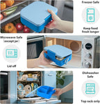 TinyPalsa Bento Box for Kids with 10oz Thermos, Durable Lunch Box with Leak Proof Insulated Food Jar, 3 Compartments with Portable Handle for Ages 3+, Dishwasher Safe, Ideal for School, Travel (Blue)