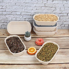 34 oz Disposable salad bowls with lids, Sugarcane Fiber Paper Bowls take away food containers meal prep food storage deli container 50 Pack