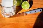 DURA LIVING 3.5 Inch Paring Knife – Essential High Carbon Stainless Steel, Razor-Sharp, Multipurpose Small Kitchen Knife, Ergonomic Handle, Perfect for Precision Tasks, Sleek Gray Design