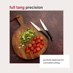 Zyliss Comfort Pro Paring Knife - Full Tang Vegetable & Fruit Knife - Ice Hardened Stainless Steel Peeling & Paring Knife - Cutlery with Antibacterial Handle - Black/Stainless Steel - 4.5 inches