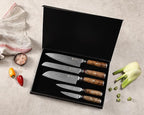 Wakoli Damascus Chef Knife Set with Magnetic Block – 5-Piece Professional Kitchen Knife Collection | Genuine 67-Layer Damascus Steel Blades with VG10 Core | Ergonomic Sycamore Wood Handles