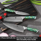 WILDMOK Professional Kitchen Knife Sets 3 PCS,Damascus Steel Chef Knife Set, 3PCS Ultra Sharp Japanese Kitchen Knives, Ergonomic Resin Handle Elegant Gift Box for Home or Restaurant