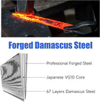 Sunnecko Damascus Knives Set,Japanese VG10 Core Steel Damascus 3PCS Chef Knife Set,Professional Razor Sharp Kitchen Knives Set with Knife Sharpner