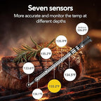 WiFi Sub-1G Wireless Meat Thermometer Unlimited Range 7 NIST Certified Sensors with Ambient Temp 2 Temp Monitoring Ways Digital Smart Base and App for BBQ, Smoker, Grill, Oven (2, black, small)