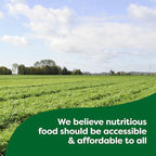 Knorr Rice Sides 8 Count Chicken Flavor Fried Rice For a Tasty Rice Side Dish No Artificial Flavors 5.7 oz