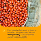 Counter Culture Coffee - Fresh Roasted Certified Organic Whole Bean Coffee (Kosher) (Apollo Double Pack)