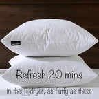 20x20 Decorative Throw Pillow Inserts-Down Feather Pillow Inserts-Square-Cotton Fabric-Set of 2-White.