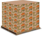 Raj Palm Leaf Plates Bulk [50-Pack] 10" & 7" Square Plates (200 CASES - 10,000 PACK) like Bamboo plates Disposable, Strong, Decorative Compostable Tableware for weddings, Lunch, Dinners