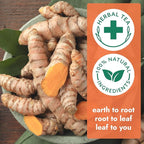Vital Bloom 120 Tea Bags Ginger Turmeric Cinnamon Tea Bags, Supports Immune Health, Aids Digestion, 100% Natural Ingredients Blended Herbal Tea, Hot or Iced, Eco-Friendly Package, 120 Count