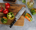 Regalia Nakiri (Usuba) Vegetable Chef Knife: Best 6-Inch Japanese AUS10 67-layer high Carbon Stainless Damascus Steel Asian Vegetable Cleaver Shaped Blade W/Hammered Finish, G-10 Handle