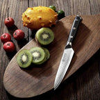 PAUDIN Utility Knife, Damascus Kitchen Knife, 67-Layer Forged Blade, Ultra Sharp Edge, Full Tang G10 Handle with Triple Rivets, 5'' Paring Knife for Cutting Fruit and Vegetables