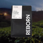 Reborn Coffee Specialty Whole Bean Decaf Coffee, Medium Roast, 12 Ounce, Colombia Condor Tolima, Flavor Notes of Berry, Caramel, Peach, and Cinnamon