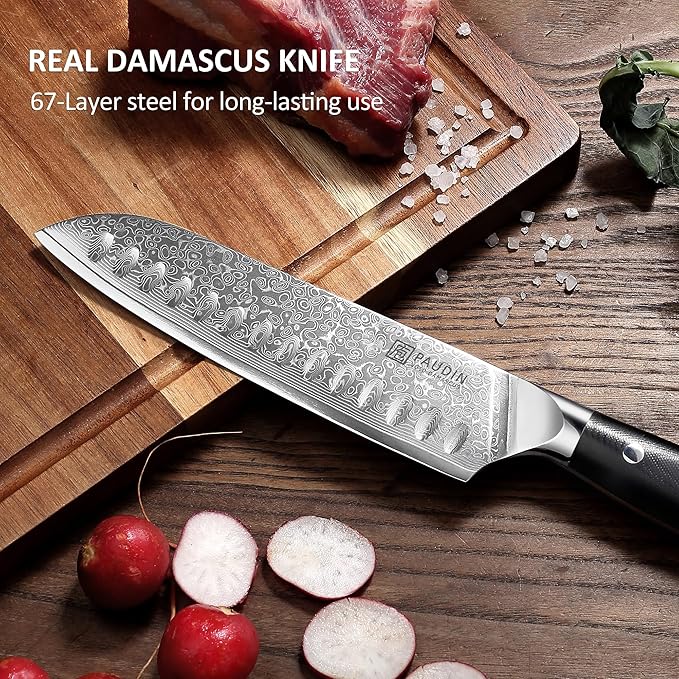 PAUDIN Damascus Knife Set 3 PCS, Japanese VG10 Steel Core, Ultra Sharp Chef Knife Set, Full Tang G10 Handle, Damascus Kitchen Knives