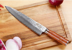 SUNLONG Gyuto 10 inch Pro Chef's Knife Japanese Knife Kitchen Knife - Hammered Damascus VG10 Steel - Bloodwood Handle