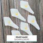 Global Sugar Art Calla Lily Sugar Cake Flowers White with Yellow, Unwired, Medium 18 Count by Chef Alan Tetreault